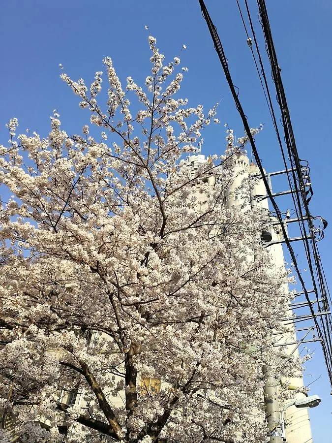 فندق Meguro Emperor (Adults Only) طوكيو اليابان